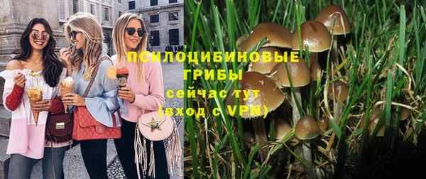 индика Чита